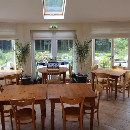 Riversdale House Room Only Accommodation, A98Kd85 Brockagh Eksteriør billede