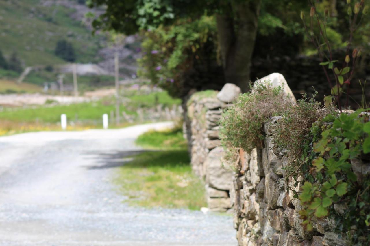 Riversdale House Room Only Accommodation, A98Kd85 Brockagh Eksteriør billede